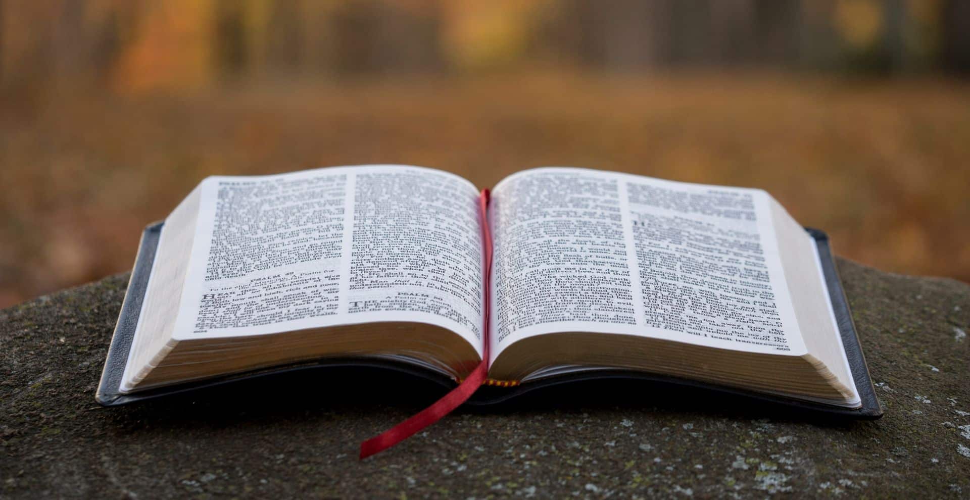 30 Encouraging Bible Verses to Read in the Morning