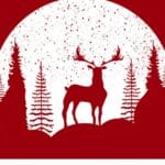 How Christians Celebrate Christmas in India