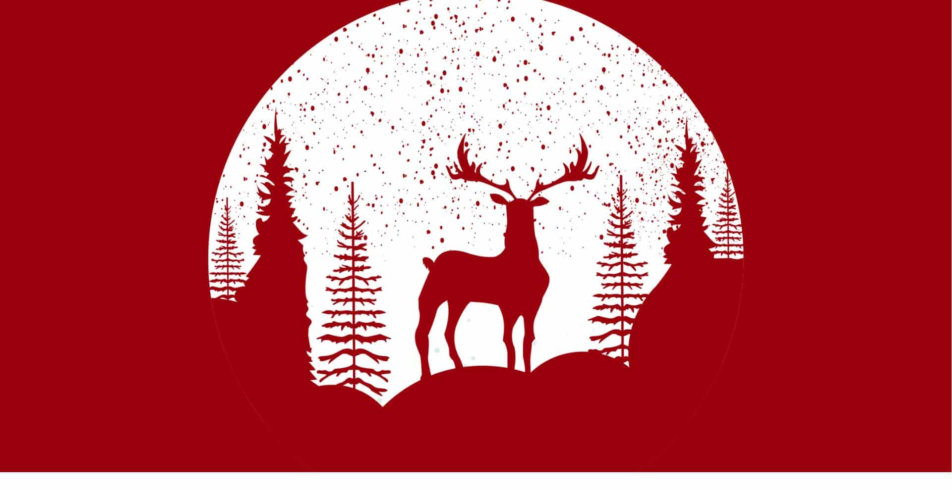 How Christians Celebrate Christmas in India